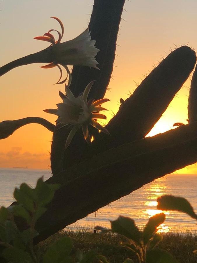Flat Na Praia Da Costa فيلا فيلها المظهر الخارجي الصورة
